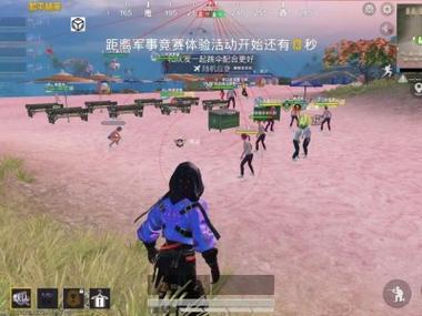 和平精英验外挂