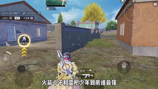 cc和平精英外挂