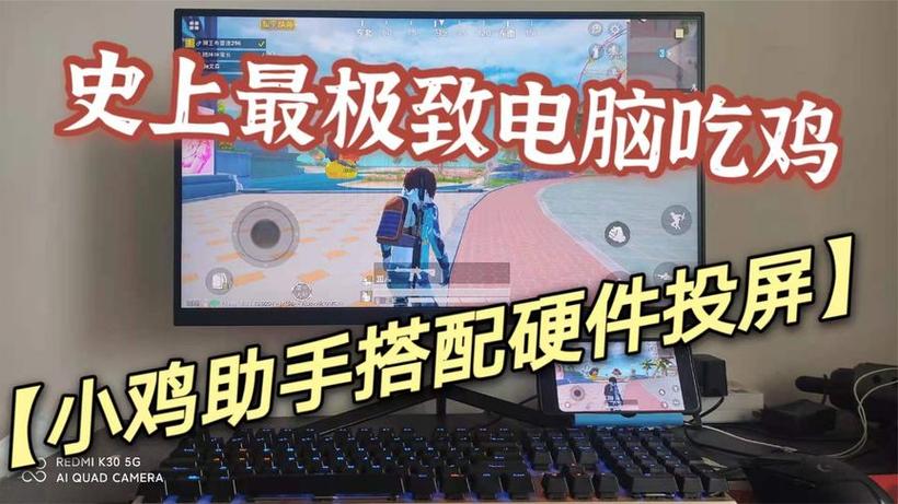 和平精英国际服花海辅助
