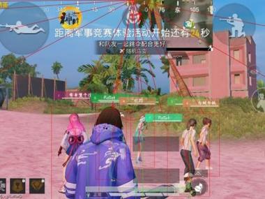 透视和平精英辅助